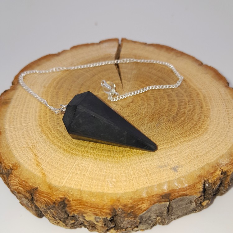 Pendule Shungite